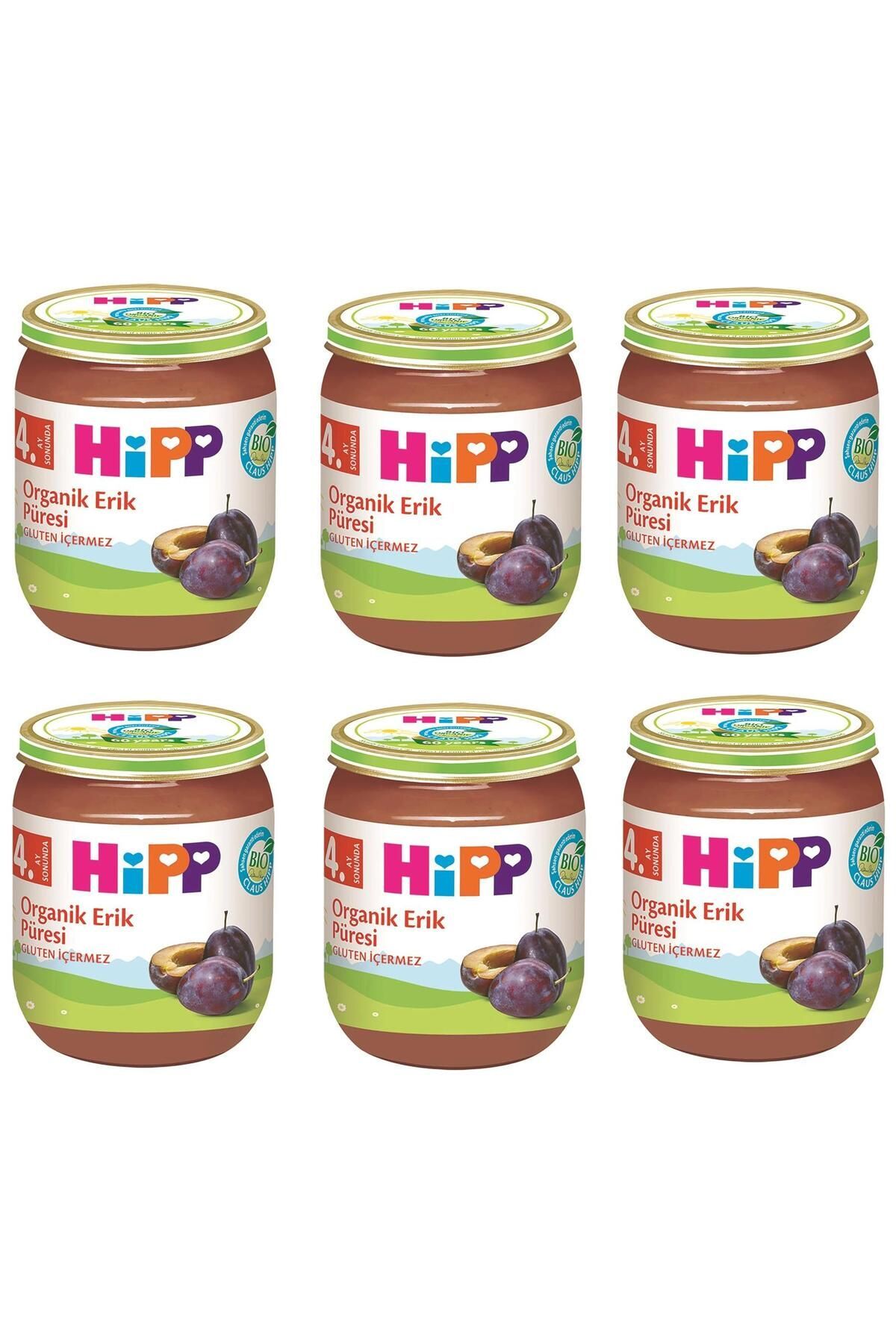 Hipp Organik Erik Püresi 125 gr x 6 Adet